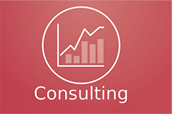 Solution for Consulting Agency