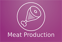 Software for Meat Production